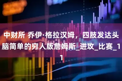 中财所 乔伊·格拉汉姆，四肢发达头脑简单的穷人版詹姆斯_进攻_比赛_1