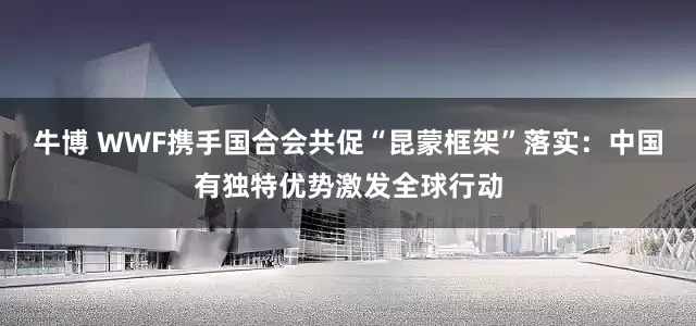 牛博 WWF携手国合会共促“昆蒙框架”落实：中国有独特优势激发全球行动